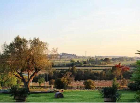Sant Pau d'Ordal Masia Olivera מראה חיצוני תמונה